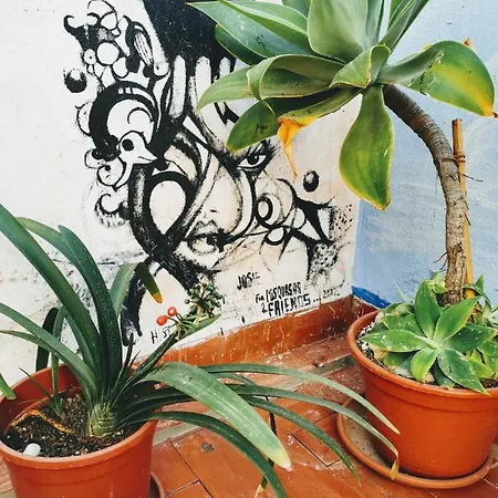 Ostello X Alicante